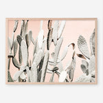 Shop Cacti Dreams Photo Art Print a Moroccan desert boho themed photography wall art print from The Print Emporium wall artwork collection - Buy Australian made fine art poster and framed prints for the home and your interior decor room, TPE-827-AP