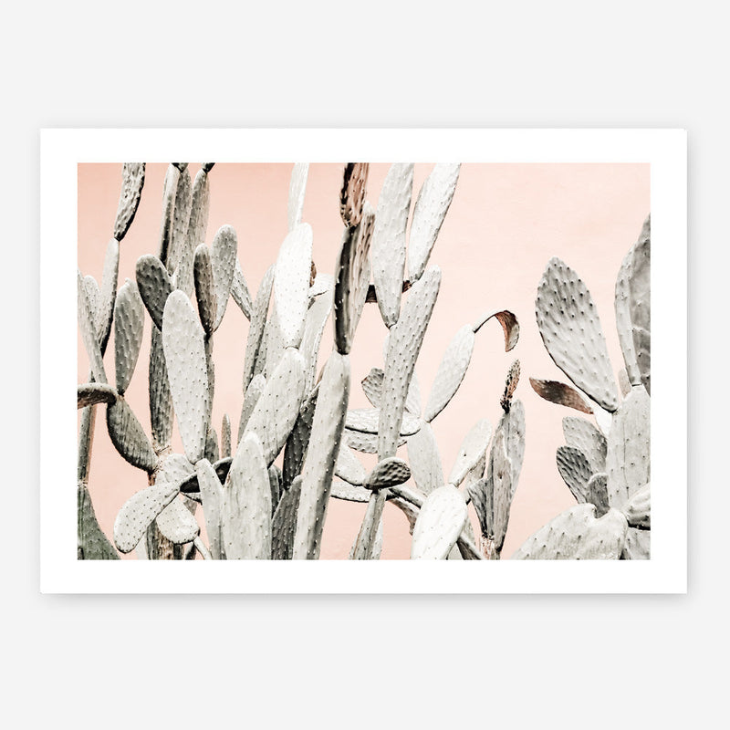 Shop Cacti Dreams Photo Art Print a Moroccan desert boho themed photography wall art print from The Print Emporium wall artwork collection - Buy Australian made fine art poster and framed prints for the home and your interior decor room, TPE-827-AP