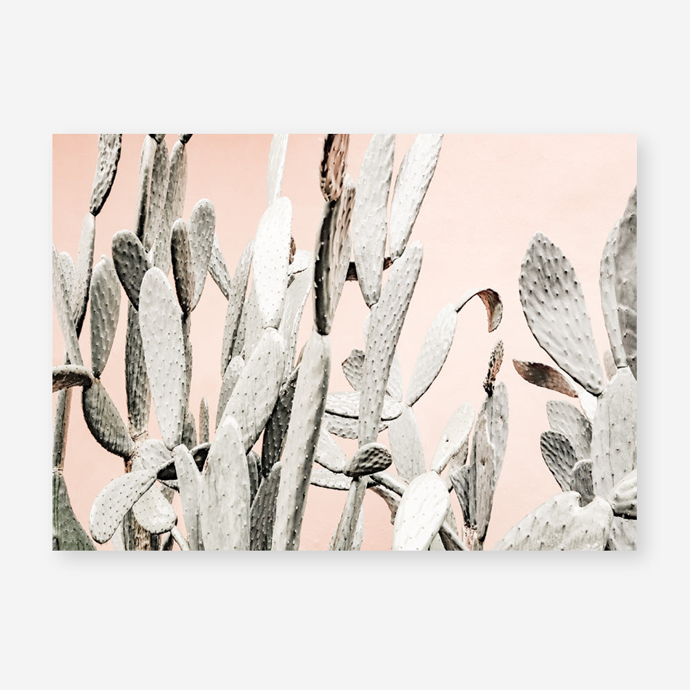 Shop Cacti Dreams Photo Art Print a Moroccan desert boho themed photography wall art print from The Print Emporium wall artwork collection - Buy Australian made fine art poster and framed prints for the home and your interior decor room, TPE-827-AP
