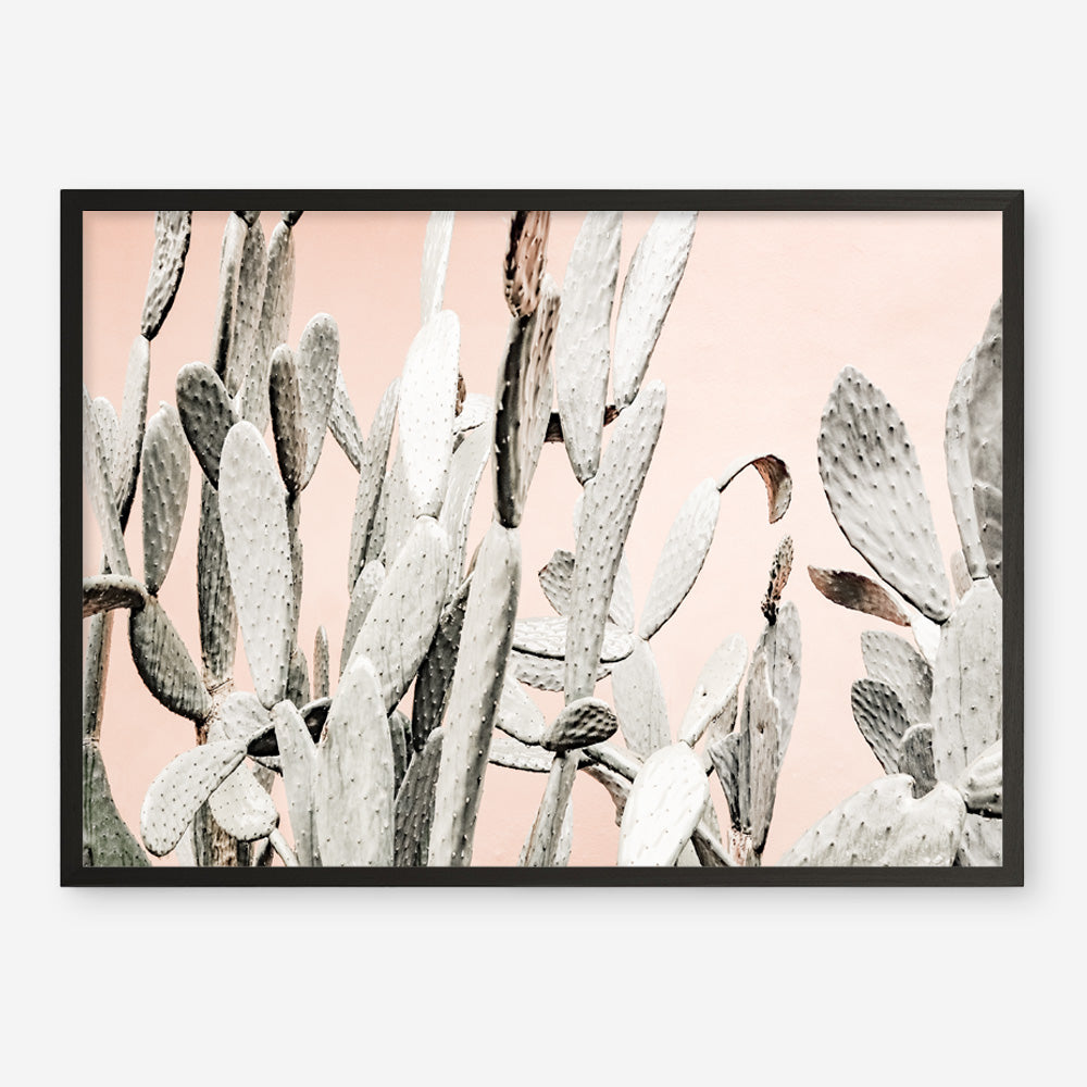 Shop Cacti Dreams Photo Art Print a Moroccan desert boho themed photography wall art print from The Print Emporium wall artwork collection - Buy Australian made fine art poster and framed prints for the home and your interior decor room, TPE-827-AP