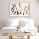 Shop Cacti Dreams Photo Art Print a Moroccan desert boho themed photography wall art print from The Print Emporium wall artwork collection - Buy Australian made fine art poster and framed prints for the home and your interior decor room, TPE-827-AP