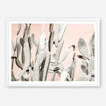 Shop Cacti Dreams Photo Art Print a Moroccan desert boho themed photography wall art print from The Print Emporium wall artwork collection - Buy Australian made fine art poster and framed prints for the home and your interior decor room, TPE-827-AP