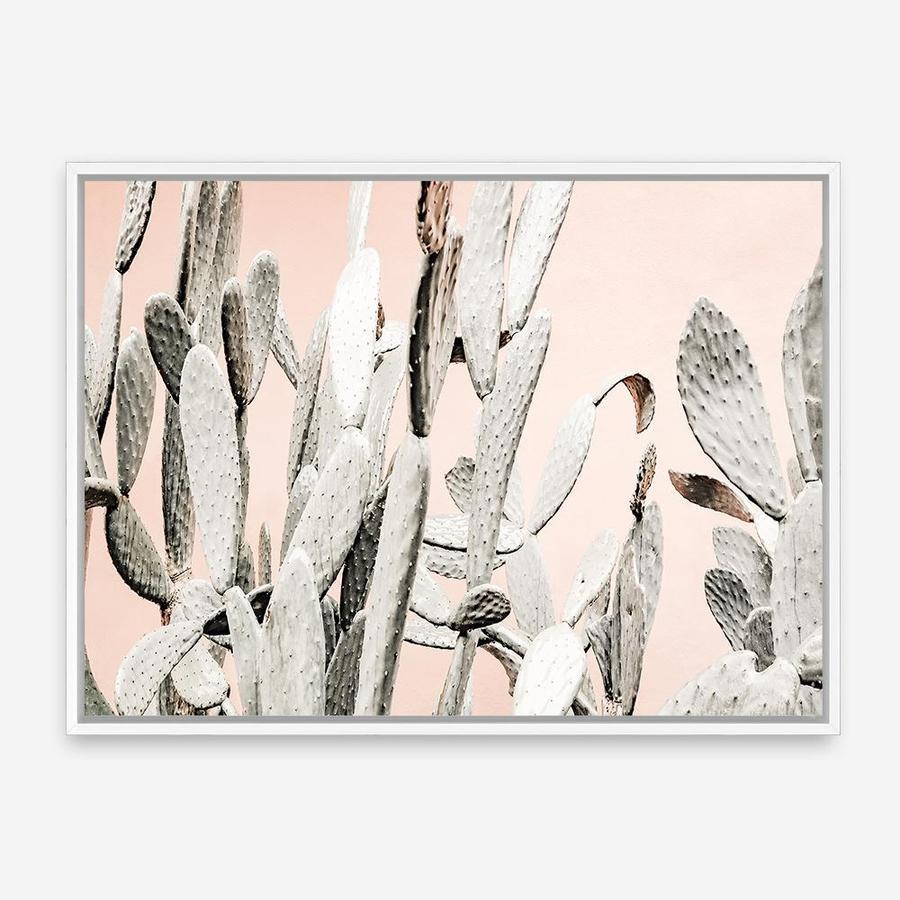 Shop Cacti Dreams Photo Canvas Print a Moroccan desert boho themed photography framed stretched canvas print from The Print Emporium wall artwork collection - Buy Australian made prints for the home and your interior decor space, TPE-827-CA-35X46-NF