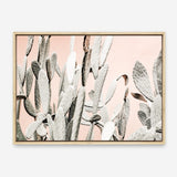 Shop Cacti Dreams Photo Canvas Print a Moroccan desert boho themed photography framed stretched canvas print from The Print Emporium wall artwork collection - Buy Australian made prints for the home and your interior decor space, TPE-827-CA-35X46-NF