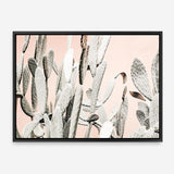 Shop Cacti Dreams Photo Canvas Print a Moroccan desert boho themed photography framed stretched canvas print from The Print Emporium wall artwork collection - Buy Australian made prints for the home and your interior decor space, TPE-827-CA-35X46-NF