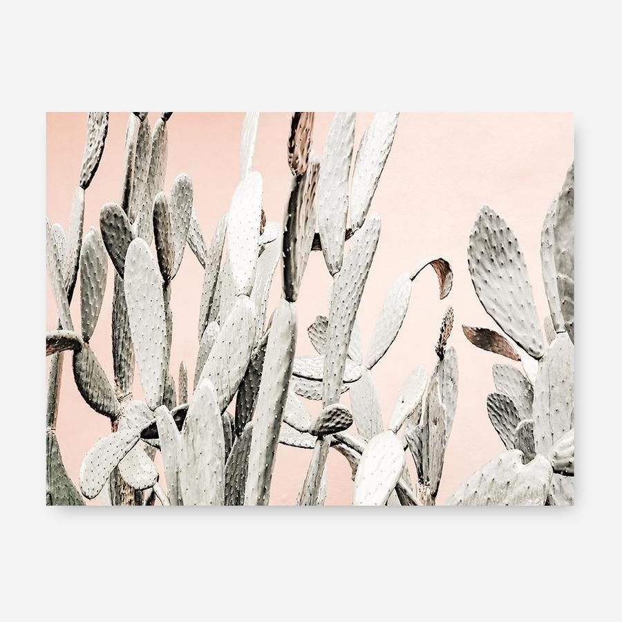 Shop Cacti Dreams Photo Canvas Print a Moroccan desert boho themed photography framed stretched canvas print from The Print Emporium wall artwork collection - Buy Australian made prints for the home and your interior decor space, TPE-827-CA-35X46-NF