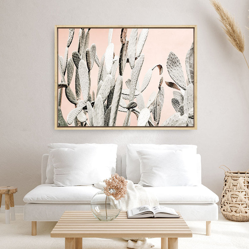 Shop Cacti Dreams Photo Canvas Print a Moroccan desert boho themed photography framed stretched canvas print from The Print Emporium wall artwork collection - Buy Australian made prints for the home and your interior decor space, TPE-827-CA-35X46-NF