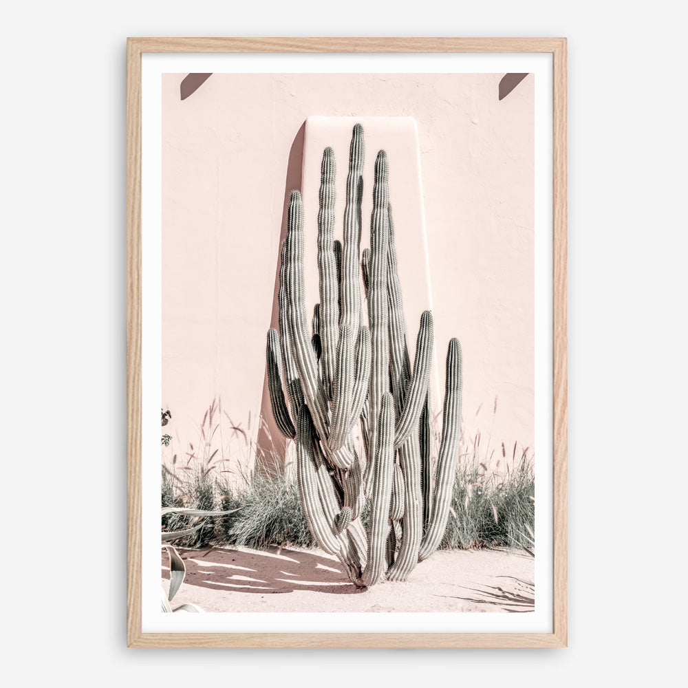 Shop Cacti Villa I Photo Art Print a Moroccan desert boho themed photography wall art print from The Print Emporium wall artwork collection - Buy Australian made fine art poster and framed prints for the home and your interior decor room, TPE-816-AP