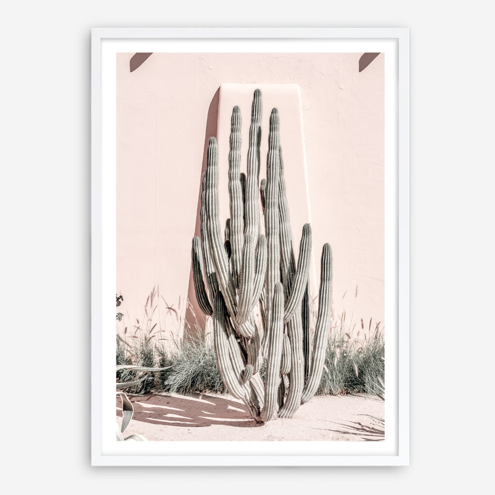 Shop Cacti Villa I Photo Art Print a Moroccan desert boho themed photography wall art print from The Print Emporium wall artwork collection - Buy Australian made fine art poster and framed prints for the home and your interior decor room, TPE-816-AP