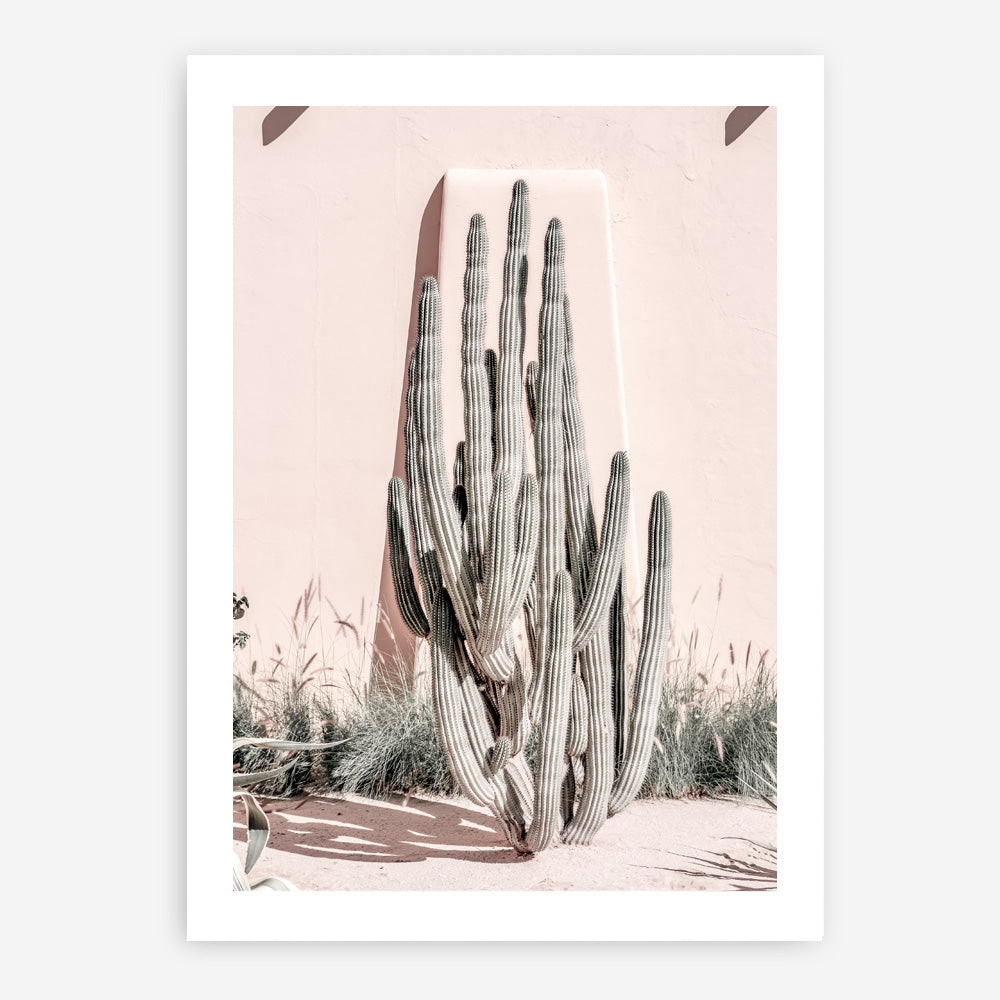 Shop Cacti Villa I Photo Art Print a Moroccan desert boho themed photography wall art print from The Print Emporium wall artwork collection - Buy Australian made fine art poster and framed prints for the home and your interior decor room, TPE-816-AP