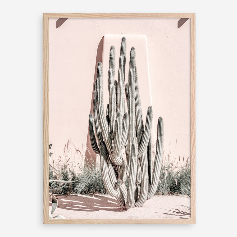 Shop Cacti Villa I Photo Art Print a Moroccan desert boho themed photography wall art print from The Print Emporium wall artwork collection - Buy Australian made fine art poster and framed prints for the home and your interior decor room, TPE-816-AP