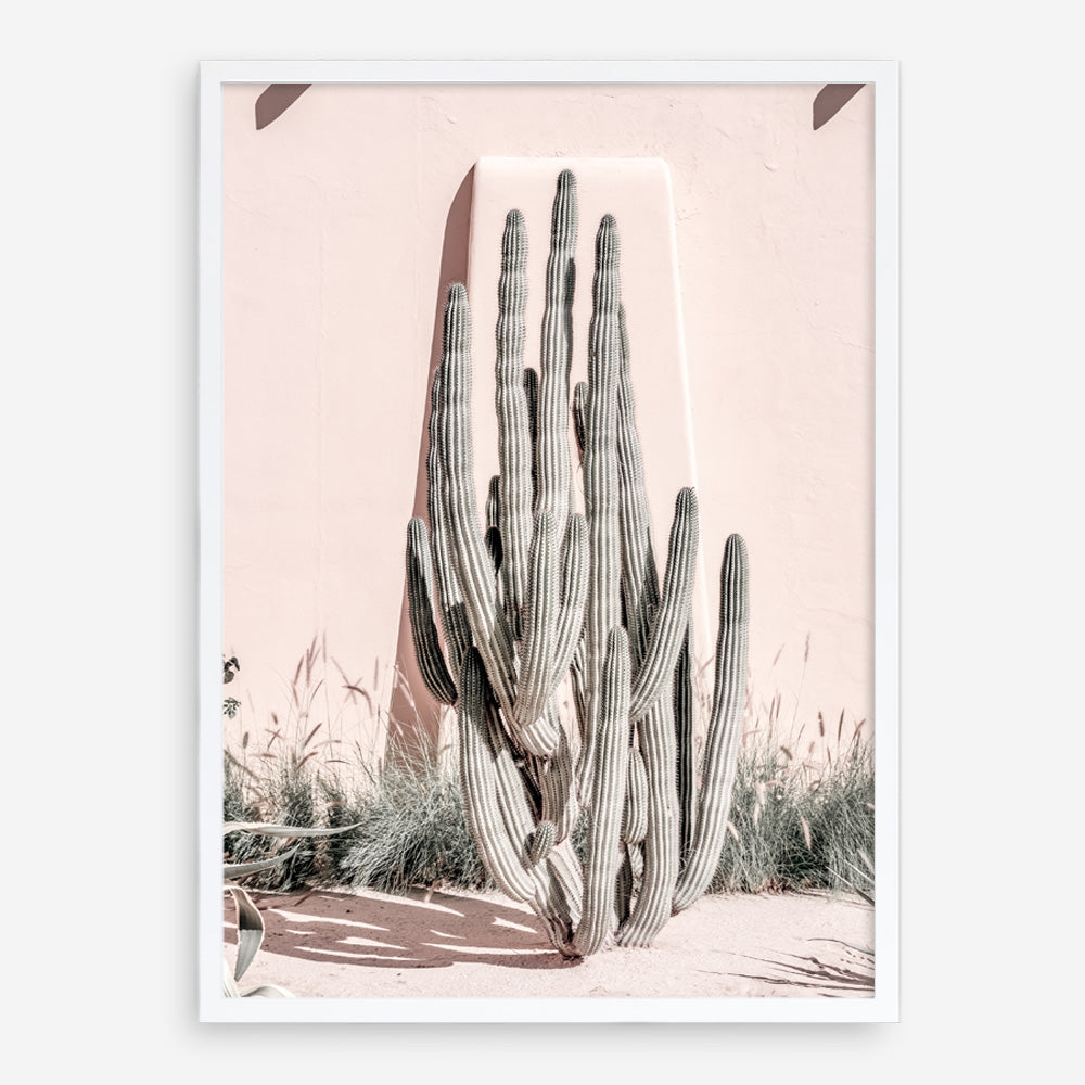 Shop Cacti Villa I Photo Art Print a Moroccan desert boho themed photography wall art print from The Print Emporium wall artwork collection - Buy Australian made fine art poster and framed prints for the home and your interior decor room, TPE-816-AP