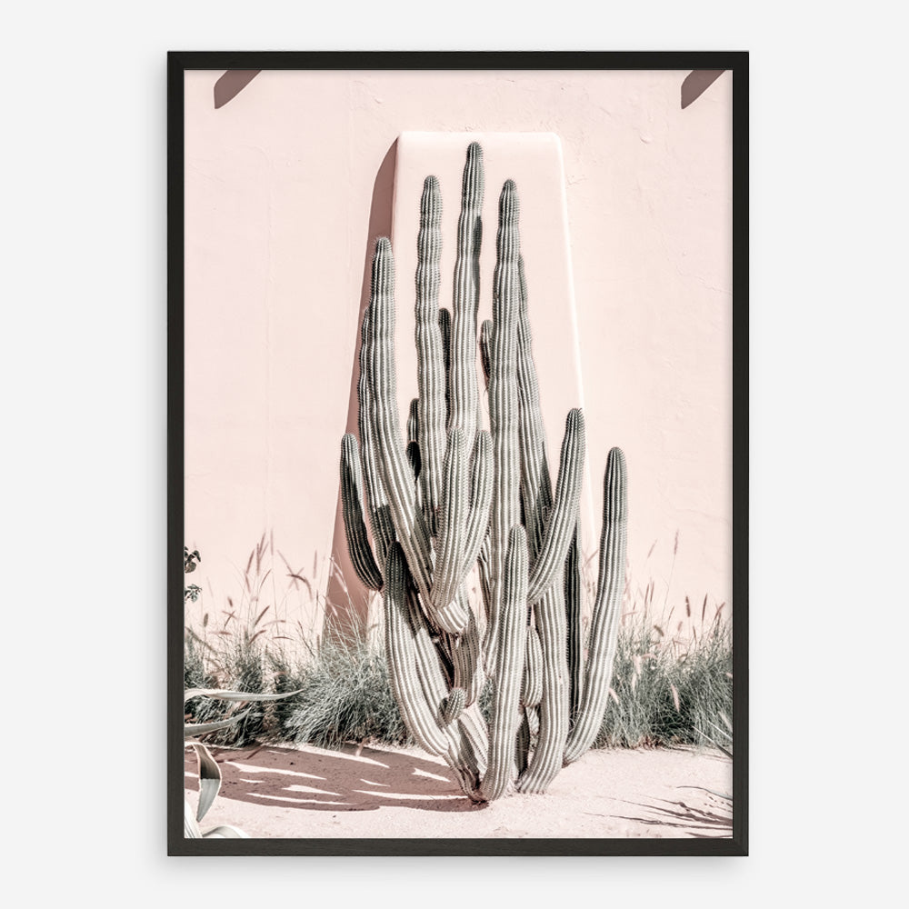 Shop Cacti Villa I Photo Art Print a Moroccan desert boho themed photography wall art print from The Print Emporium wall artwork collection - Buy Australian made fine art poster and framed prints for the home and your interior decor room, TPE-816-AP
