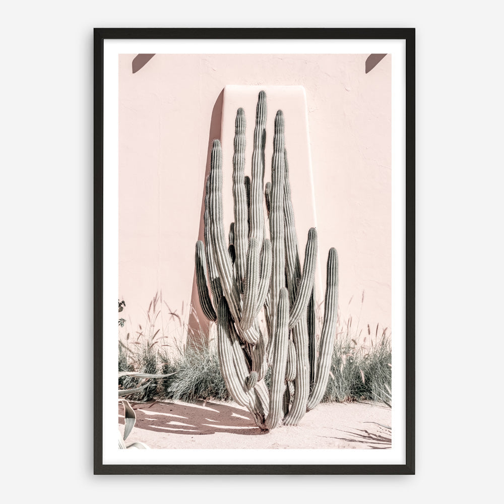 Shop Cacti Villa I Photo Art Print a Moroccan desert boho themed photography wall art print from The Print Emporium wall artwork collection - Buy Australian made fine art poster and framed prints for the home and your interior decor room, TPE-816-AP