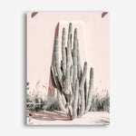 Shop Cacti Villa I Photo Canvas Print a Moroccan desert boho themed photography framed stretched canvas print from The Print Emporium wall artwork collection - Buy Australian made prints for the home and your interior decor space, TPE-816-CA-35X46-NF