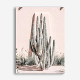 Shop Cacti Villa I Photo Canvas Print a Moroccan desert boho themed photography framed stretched canvas print from The Print Emporium wall artwork collection - Buy Australian made prints for the home and your interior decor space, TPE-816-CA-35X46-NF