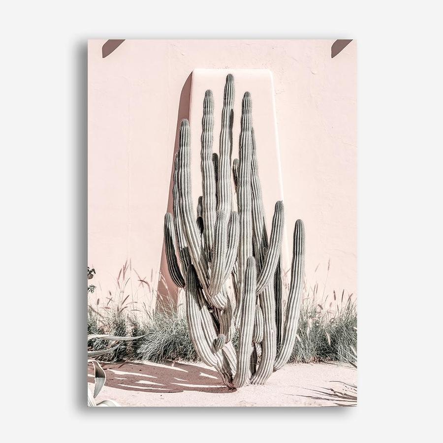 Shop Cacti Villa I Photo Canvas Print a Moroccan desert boho themed photography framed stretched canvas print from The Print Emporium wall artwork collection - Buy Australian made prints for the home and your interior decor space, TPE-816-CA-35X46-NF