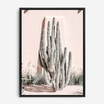 Shop Cacti Villa I Photo Canvas Print a Moroccan desert boho themed photography framed stretched canvas print from The Print Emporium wall artwork collection - Buy Australian made prints for the home and your interior decor space, TPE-816-CA-35X46-NF