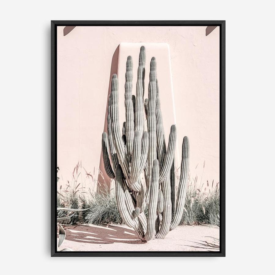 Shop Cacti Villa I Photo Canvas Print a Moroccan desert boho themed photography framed stretched canvas print from The Print Emporium wall artwork collection - Buy Australian made prints for the home and your interior decor space, TPE-816-CA-35X46-NF