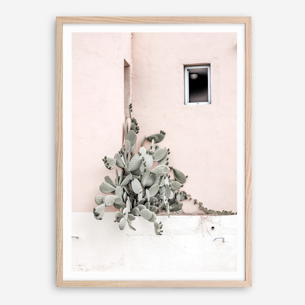 Shop Cacti Villa III Photo Art Print a Moroccan desert boho themed photography wall art print from The Print Emporium wall artwork collection - Buy Australian made fine art poster and framed prints for the home and your interior decor room, TPE-818-AP