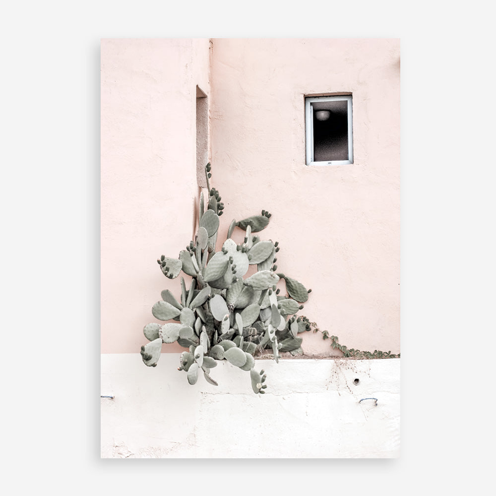 Shop Cacti Villa III Photo Art Print a Moroccan desert boho themed photography wall art print from The Print Emporium wall artwork collection - Buy Australian made fine art poster and framed prints for the home and your interior decor room, TPE-818-AP