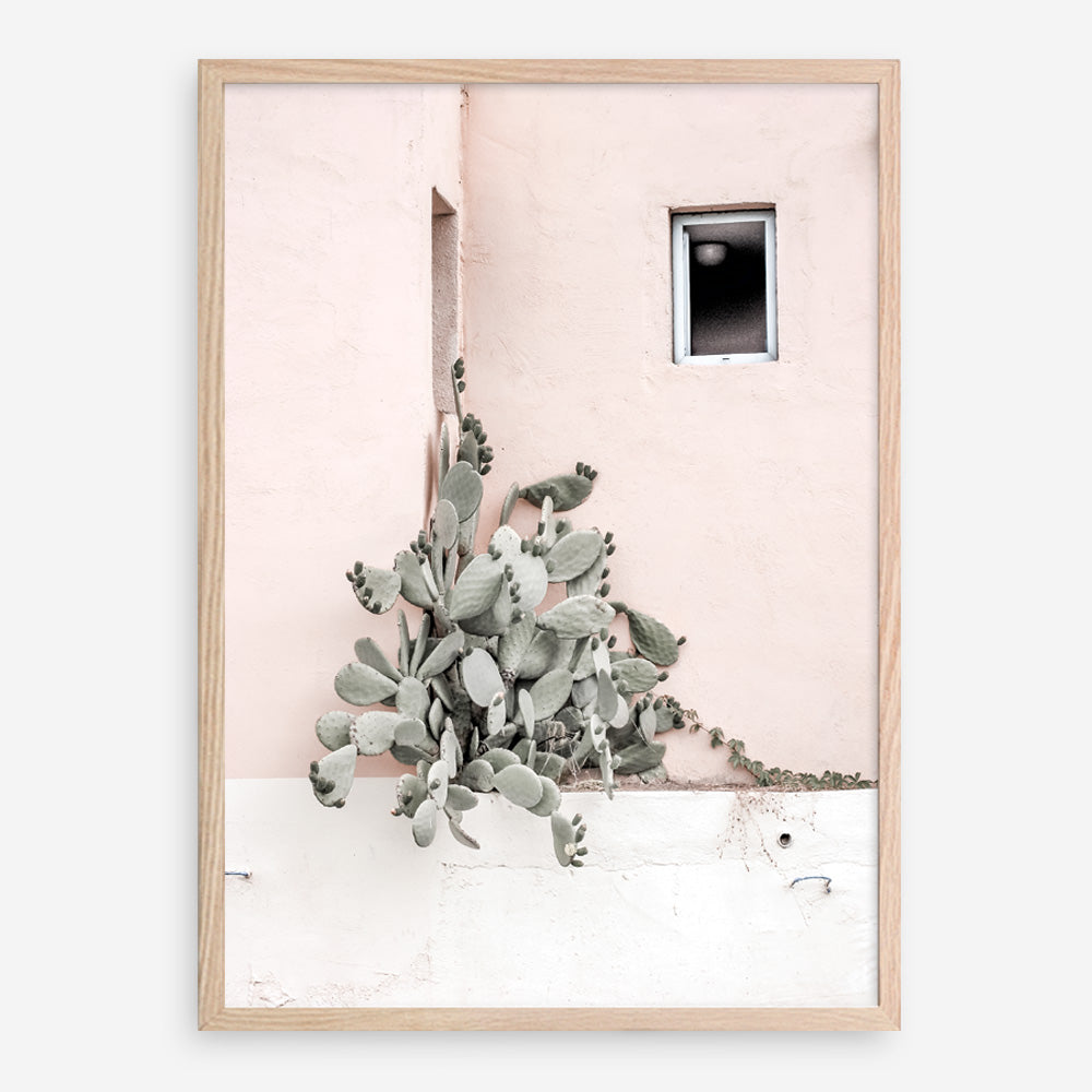 Shop Cacti Villa III Photo Art Print a Moroccan desert boho themed photography wall art print from The Print Emporium wall artwork collection - Buy Australian made fine art poster and framed prints for the home and your interior decor room, TPE-818-AP