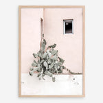 Shop Cacti Villa III Photo Art Print a Moroccan desert boho themed photography wall art print from The Print Emporium wall artwork collection - Buy Australian made fine art poster and framed prints for the home and your interior decor room, TPE-818-AP