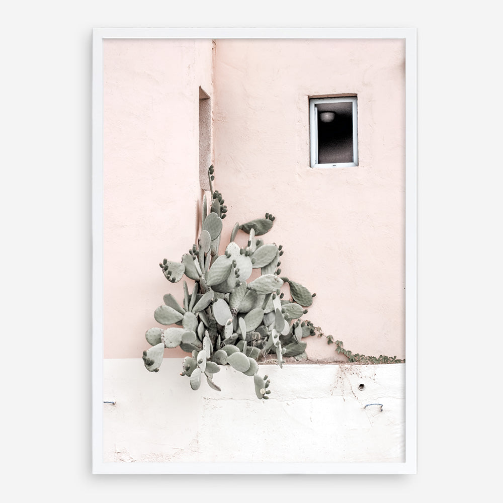 Shop Cacti Villa III Photo Art Print a Moroccan desert boho themed photography wall art print from The Print Emporium wall artwork collection - Buy Australian made fine art poster and framed prints for the home and your interior decor room, TPE-818-AP