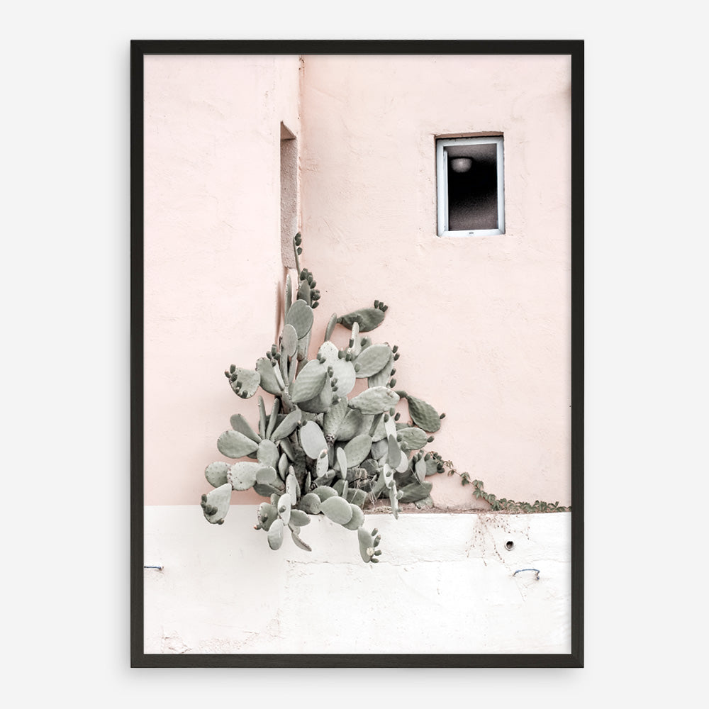 Shop Cacti Villa III Photo Art Print a Moroccan desert boho themed photography wall art print from The Print Emporium wall artwork collection - Buy Australian made fine art poster and framed prints for the home and your interior decor room, TPE-818-AP