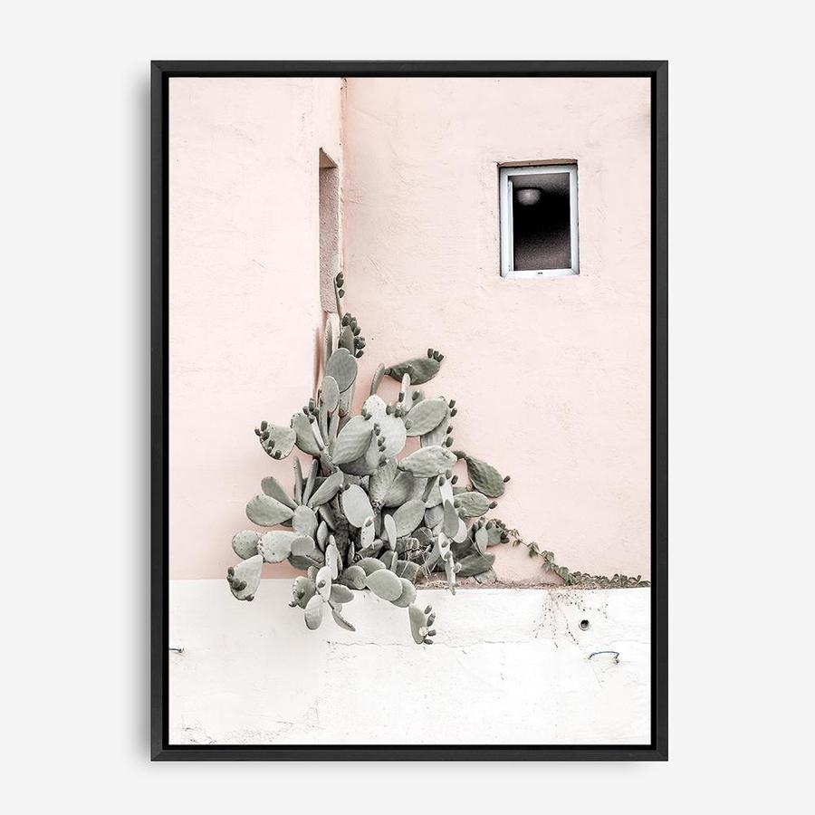 Shop Cacti Villa III Photo Canvas Print a Moroccan desert boho themed photography framed stretched canvas print from The Print Emporium wall artwork collection - Buy Australian made prints for the home and your interior decor space, TPE-818-CA-35X46-NF