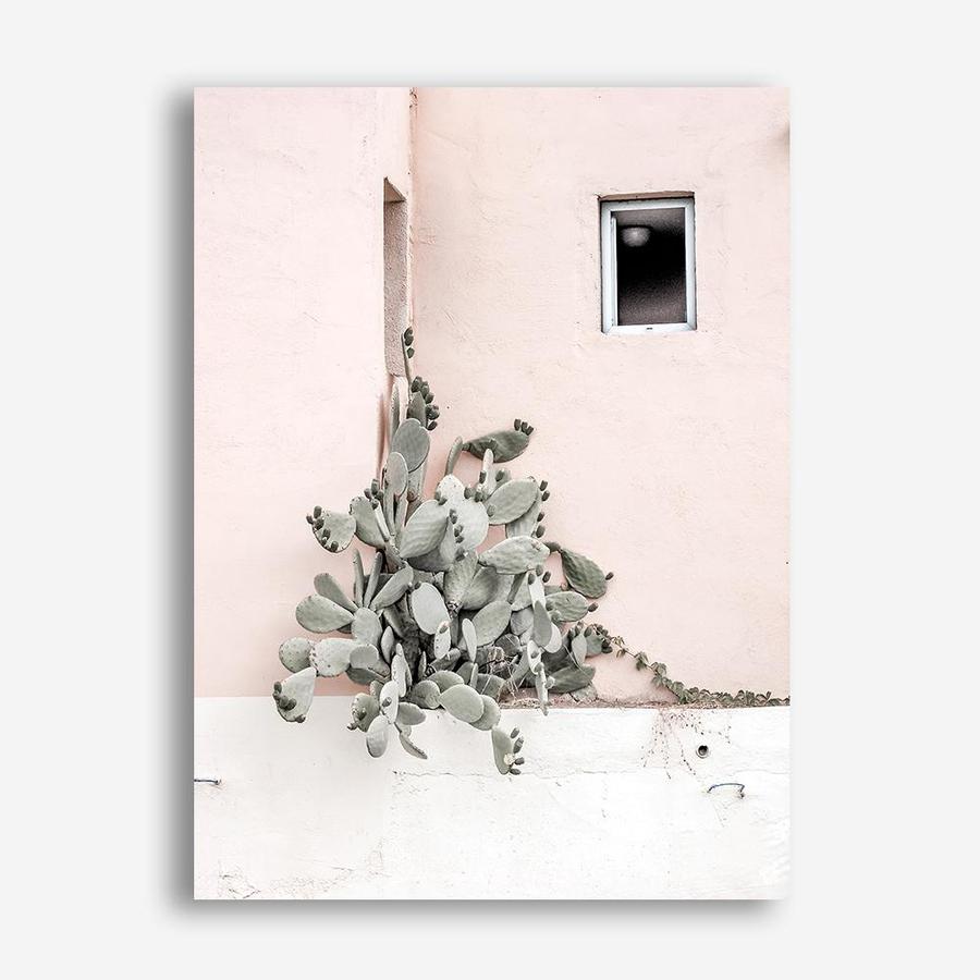 Shop Cacti Villa III Photo Canvas Print a Moroccan desert boho themed photography framed stretched canvas print from The Print Emporium wall artwork collection - Buy Australian made prints for the home and your interior decor space, TPE-818-CA-35X46-NF