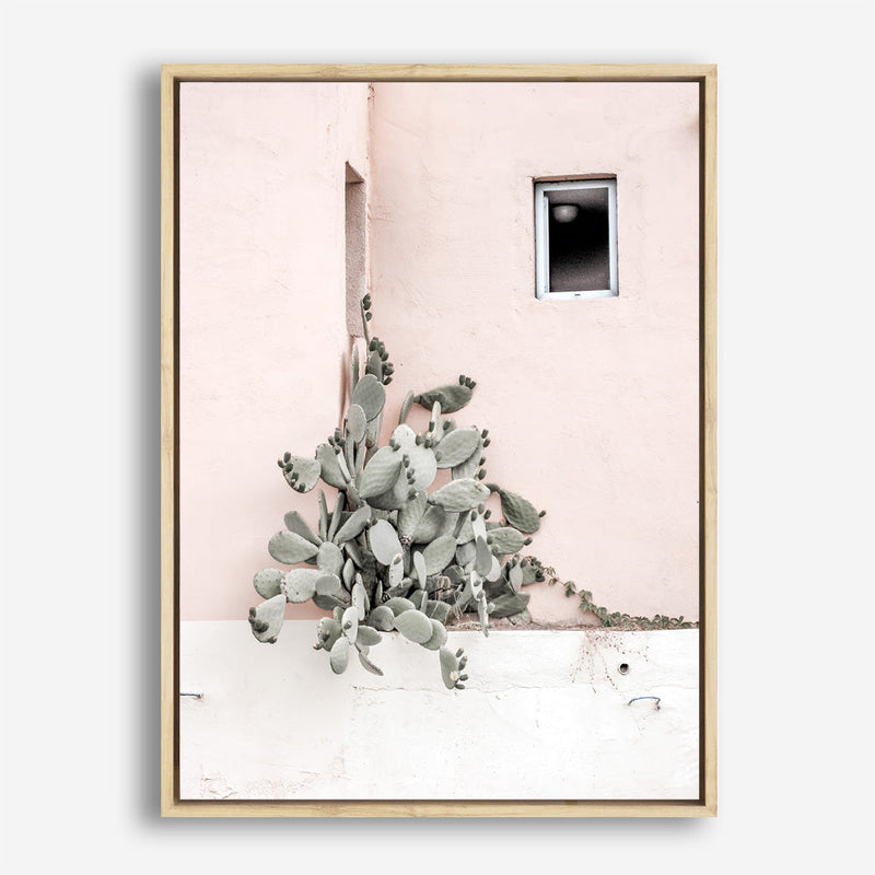 Shop Cacti Villa III Photo Canvas Print a Moroccan desert boho themed photography framed stretched canvas print from The Print Emporium wall artwork collection - Buy Australian made prints for the home and your interior decor space, TPE-818-CA-35X46-NF