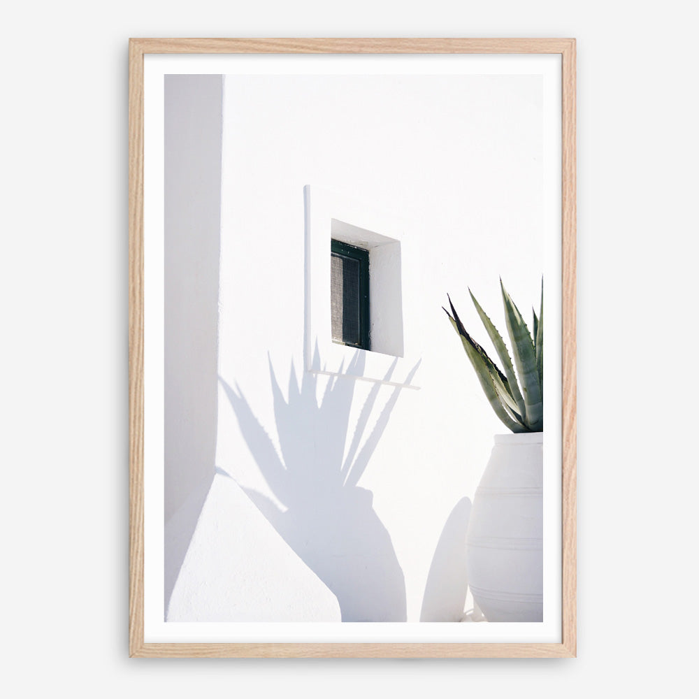 Shop Cactus Shadow Photo Art Print a coastal themed photography wall art print from The Print Emporium wall artwork collection - Buy Australian made fine art poster and framed prints for the home and your interior decor, TPE-1278-AP