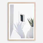 Shop Cactus Shadow Photo Art Print a coastal themed photography wall art print from The Print Emporium wall artwork collection - Buy Australian made fine art poster and framed prints for the home and your interior decor, TPE-1278-AP