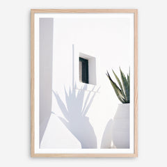 Shop Cactus Shadow Photo Art Print a coastal themed photography wall art print from The Print Emporium wall artwork collection - Buy Australian made fine art poster and framed prints for the home and your interior decor, TPE-1278-AP