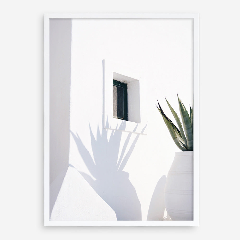 Shop Cactus Shadow Photo Art Print a coastal themed photography wall art print from The Print Emporium wall artwork collection - Buy Australian made fine art poster and framed prints for the home and your interior decor, TPE-1278-AP
