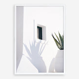 Shop Cactus Shadow Photo Art Print a coastal themed photography wall art print from The Print Emporium wall artwork collection - Buy Australian made fine art poster and framed prints for the home and your interior decor, TPE-1278-AP