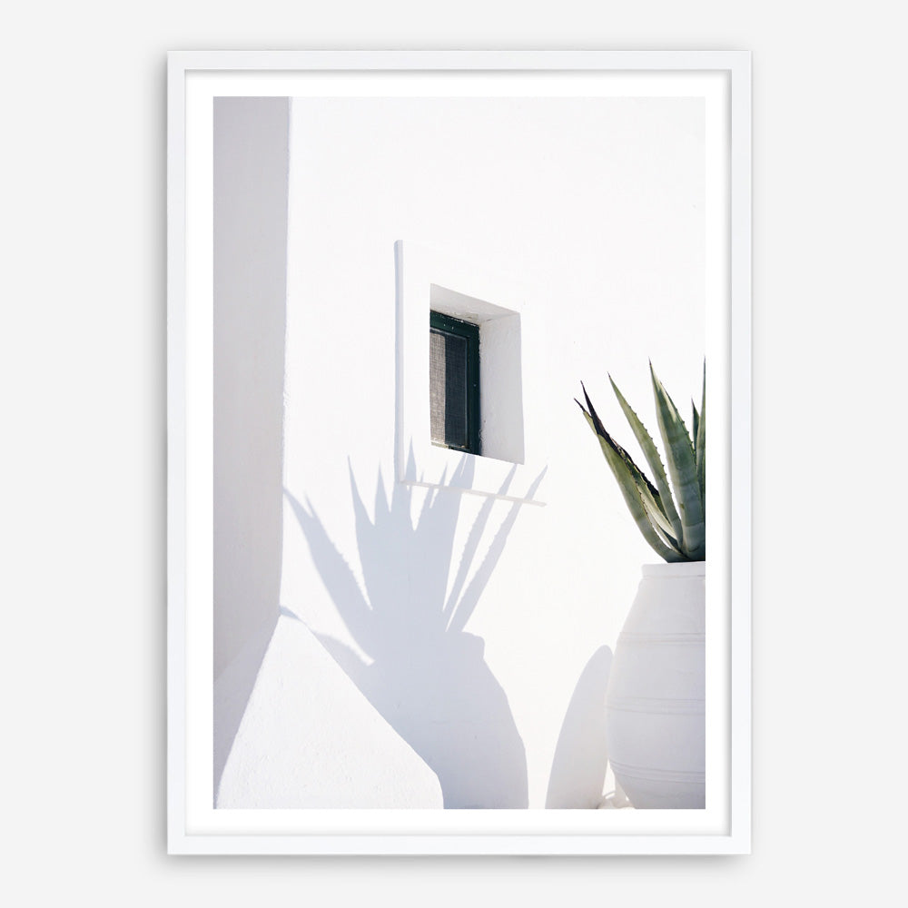 Shop Cactus Shadow Photo Art Print a coastal themed photography wall art print from The Print Emporium wall artwork collection - Buy Australian made fine art poster and framed prints for the home and your interior decor, TPE-1278-AP