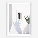 Shop Cactus Shadow Photo Art Print a coastal themed photography wall art print from The Print Emporium wall artwork collection - Buy Australian made fine art poster and framed prints for the home and your interior decor, TPE-1278-AP