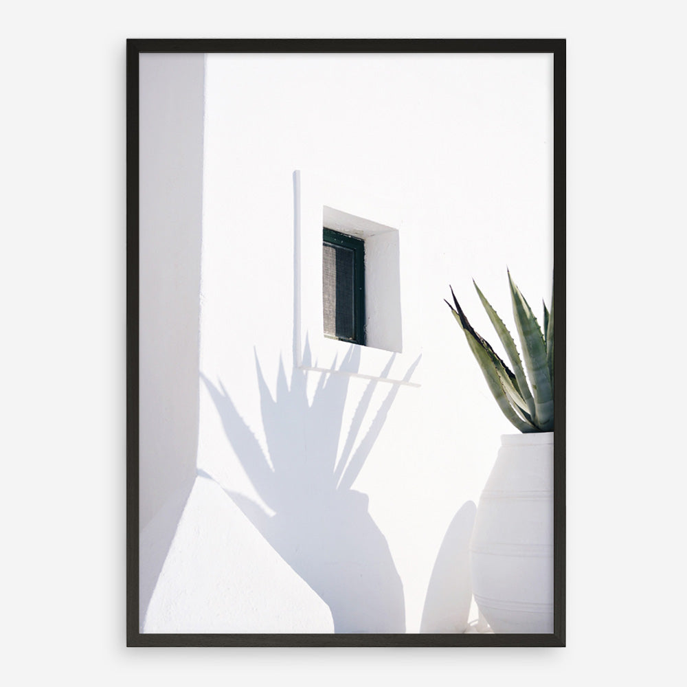 Shop Cactus Shadow Photo Art Print a coastal themed photography wall art print from The Print Emporium wall artwork collection - Buy Australian made fine art poster and framed prints for the home and your interior decor, TPE-1278-AP