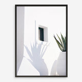 Shop Cactus Shadow Photo Art Print a coastal themed photography wall art print from The Print Emporium wall artwork collection - Buy Australian made fine art poster and framed prints for the home and your interior decor, TPE-1278-AP