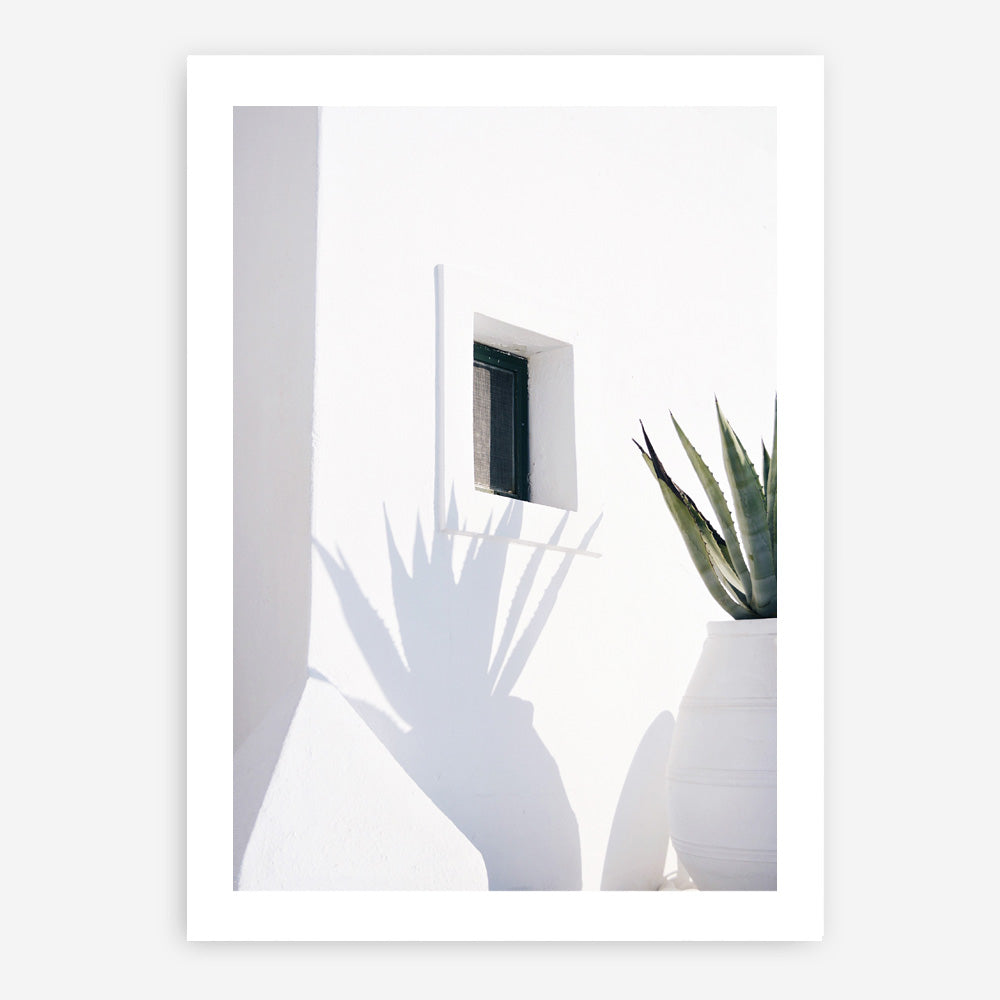 Shop Cactus Shadow Photo Art Print a coastal themed photography wall art print from The Print Emporium wall artwork collection - Buy Australian made fine art poster and framed prints for the home and your interior decor, TPE-1278-AP