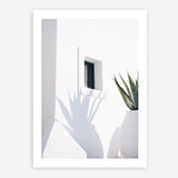 Shop Cactus Shadow Photo Art Print a coastal themed photography wall art print from The Print Emporium wall artwork collection - Buy Australian made fine art poster and framed prints for the home and your interior decor, TPE-1278-AP