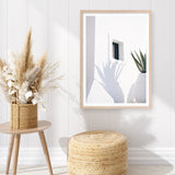 Shop Cactus Shadow Photo Art Print a coastal themed photography wall art print from The Print Emporium wall artwork collection - Buy Australian made fine art poster and framed prints for the home and your interior decor, TPE-1278-AP