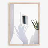 Shop Cactus Shadow Photo Art Print a coastal themed photography wall art print from The Print Emporium wall artwork collection - Buy Australian made fine art poster and framed prints for the home and your interior decor, TPE-1278-AP