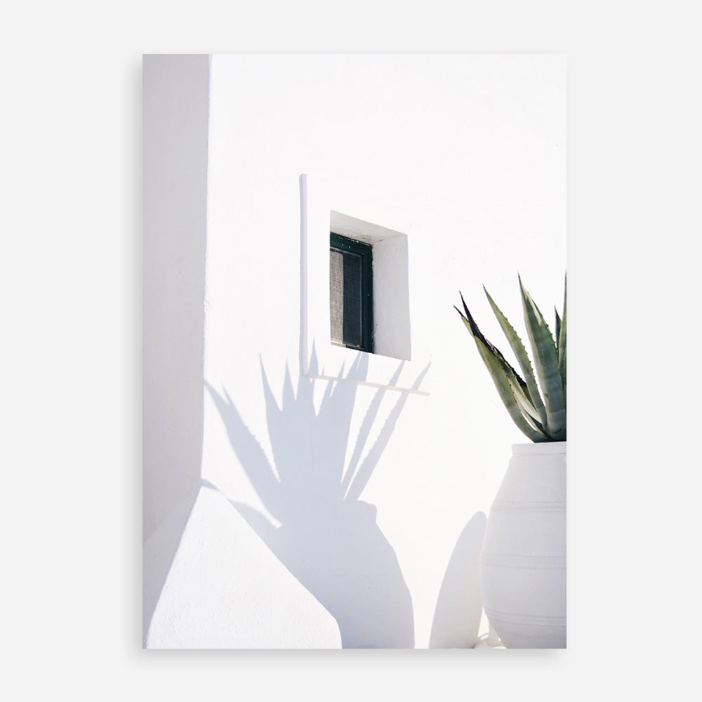 Shop Cactus Shadow Photo Art Print a coastal themed photography wall art print from The Print Emporium wall artwork collection - Buy Australian made fine art poster and framed prints for the home and your interior decor, TPE-1278-AP