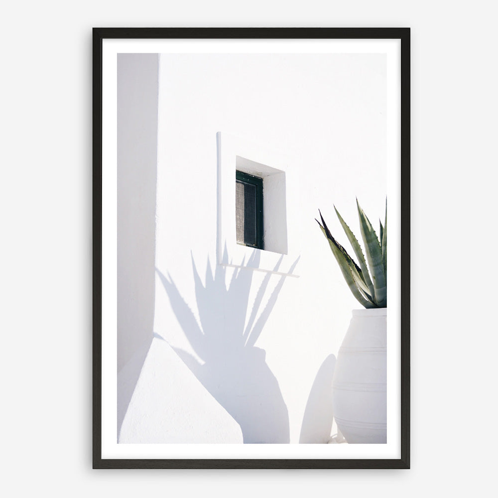 Shop Cactus Shadow Photo Art Print a coastal themed photography wall art print from The Print Emporium wall artwork collection - Buy Australian made fine art poster and framed prints for the home and your interior decor, TPE-1278-AP
