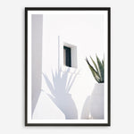 Shop Cactus Shadow Photo Art Print a coastal themed photography wall art print from The Print Emporium wall artwork collection - Buy Australian made fine art poster and framed prints for the home and your interior decor, TPE-1278-AP