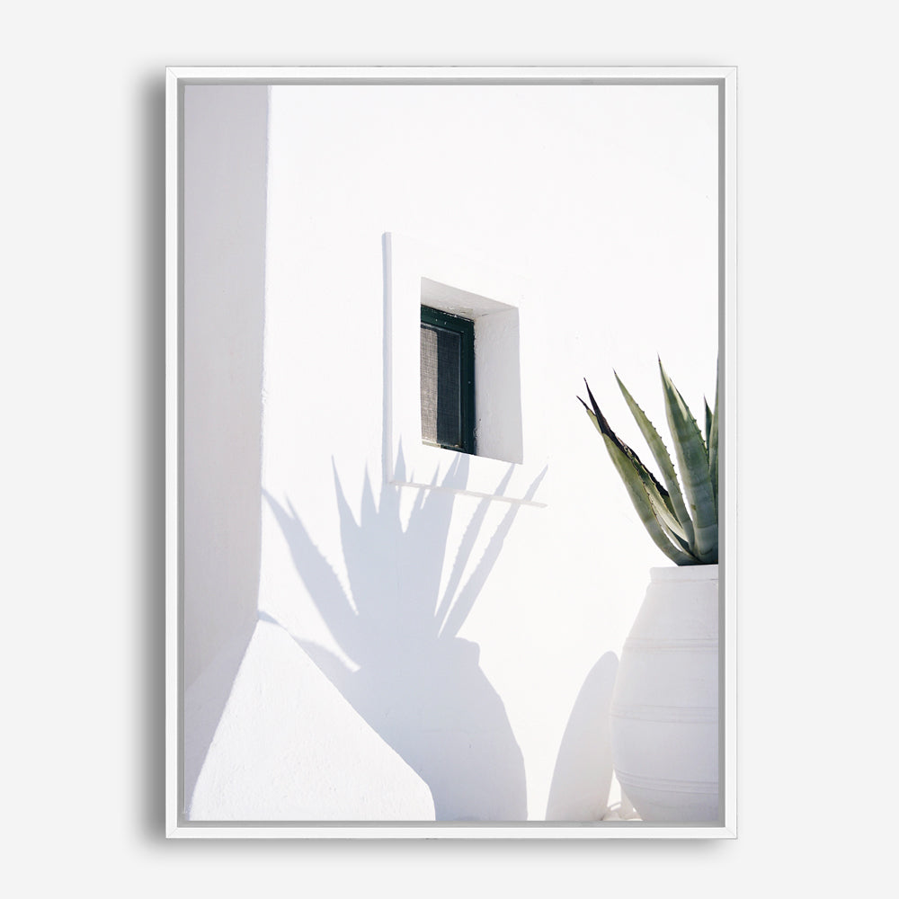Shop Cactus Shadow Photo Canvas Print a coastal themed photography framed stretched canvas print from The Print Emporium wall artwork collection - Buy Australian made prints for the home and your interior decor space, TPE-1278-CA-35X46-NF