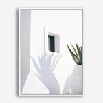 Shop Cactus Shadow Photo Canvas Print a coastal themed photography framed stretched canvas print from The Print Emporium wall artwork collection - Buy Australian made prints for the home and your interior decor space, TPE-1278-CA-35X46-NF